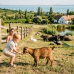 Ungarn Strichelzoo für Kinder und Familie - Tiere Ausflüge